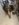12530115-B88A-4FA7-836B-F566F6C73643.jpeg