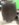 14D35C24-9080-4A87-BBA4-BA72404E03FF.jpeg 14D35C24-9080-4A87-BBA4-BA72404E03FF.jpeg