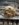 9892BDA0-8672-4D12-93BD-07E1CC0DF84B.jpeg