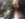 AD56DB1F-00A3-42A0-9007-89FF96DC31B2.jpeg