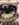 20181125_083721_Burst01.jpg