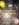 21EF0A92-C89C-4F09-81DE-63EB155E7854.jpeg