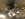 24C857CF-9136-4BDF-88FC-86C90AEEBF51.jpeg