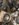 A4D85F09-07B4-4B90-A151-670D35AEC2C1.jpeg
