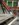 84B40552-36B2-464B-9E05-D99E37ABBCC6.jpeg