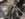 EDD15C7C-27E8-4FCE-B39D-0518F83A402A.jpeg