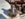 IMG_20181202_112203297_HDR[1].jpg