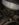 CEEBFBF2-2B60-49A3-BA10-A9C448BBA2C7.jpeg
