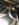 680731F3-DCBD-4878-B145-8647ED022AE7.jpeg