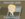 CF3D7ACD-AFCD-4631-9FF5-965F2F76C90C.jpeg