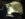 D2FFB699-FE53-4135-903B-54160E0797B1.jpeg