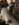 29EE19FA-CC09-43DB-88D6-42C012BDA536.jpeg