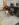 5FE91B73-45B1-4514-89B7-82CEDC720A91.jpeg