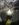 599818AF-EA75-4111-93C4-19DF97D0D546.jpeg