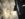 1180D2DE-D60C-4671-BBCA-FA78C61EA8E1.jpeg
