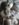 IMG_20181210_150248155[1].jpg