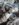 IMG_20181210_150302333[1].jpg