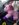 48BD053A-D546-4454-B61A-B274793A2B8D.jpeg