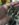 A703FAB8-0EA8-4E98-A801-6044CDDF7D21.jpeg