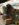 ABB30EF6-7C99-4911-BD2B-327B554B3659.jpeg