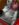 40100049_2359349437413964_7261170370311356416_n.jpg