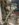 FFEB4962-4141-4B8A-BB03-8377EF803B44.jpeg