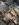 2A21EC26-3DA0-412E-99CC-D8A341EDEF41.jpeg
