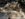 FC7CD343-00DD-4EA2-9C81-1DC76ACC1ECB.jpeg