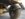 79866320-9062-40B4-B3C6-A0D5ED7BE356.jpeg