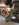 08F899F9-D4D7-402A-BB98-78BA273AE3CC.jpeg
