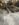 E224E364-3243-4B69-B6FC-E2088BB33B7B.jpeg
