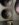 1A133B89-5D07-48DB-941B-BC0AEE7AA0EB.jpeg