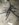 212D0B8D-4203-460C-8234-B61E864BCE4E.jpeg