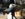343DA838-9A34-40AE-90B4-CBFF5AF0A0E5.jpeg