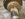 7364EEA2-455C-4A25-BDA8-EE89BC18C0E6.jpeg