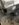 0361F4BD-FB58-4F2B-9721-EBA1E38B29CE.jpeg