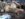 Resized_20181204_123044.jpeg