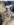 Screenshot_20181231-145112_Chrome.jpg