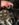 018EB643-7CF6-44AD-87B3-865EA24F1930.jpeg