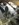 36596EE7-50E1-4F13-9759-74ECB7B84E2A.jpeg