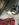 7268E946-D39D-4102-95E9-C5EE9F45B886.jpeg