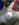A1402684-C086-4134-98B0-E8F05D753689.jpeg