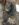 B8BE42CD-1FDE-46C4-B75E-0E007401242E.jpeg