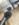 C81D0DD4-2596-4B49-ACC0-B553EA24EBD4.jpeg