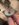 87BE9E0F-7C90-4E1D-943C-9D6041A73BD5.jpeg