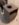 659C3496-6A51-4E21-B07B-39E184E1E095.jpeg