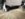 8AAE2DD4-B687-4246-BA14-2DACB90A1EEB.jpeg