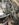 58B27A0B-212D-47FD-89CE-788684C6D98D.jpeg