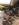 7642EC95-8BAE-4CDB-8C50-513D39E4D7B6.jpeg