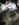 0A744AD9-A643-488F-915D-59DF8E796EAF.jpeg